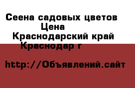 Сеена садовых цветов › Цена ­ 20 - Краснодарский край, Краснодар г.  »    